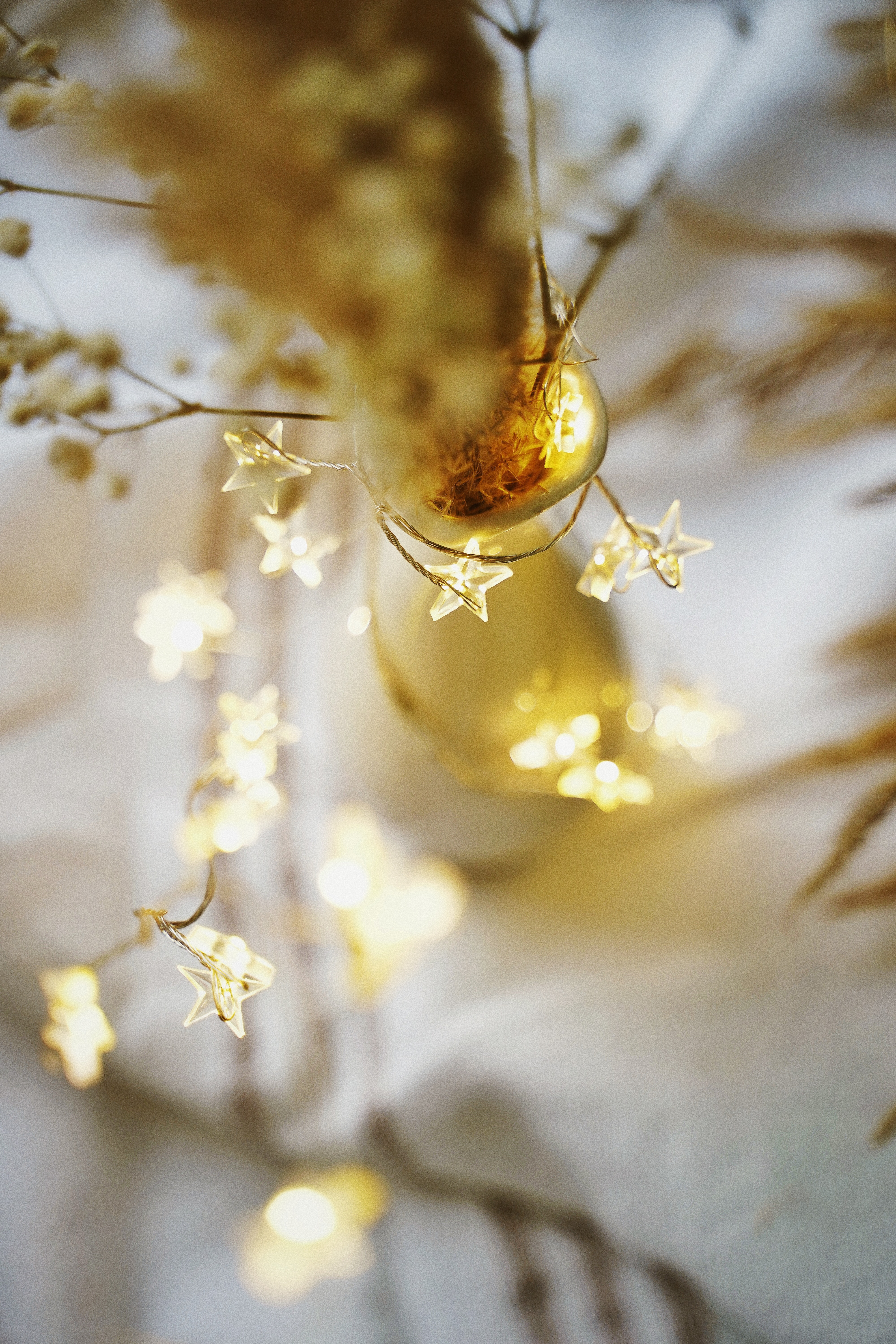 Cute Fairy Light Wallpapers