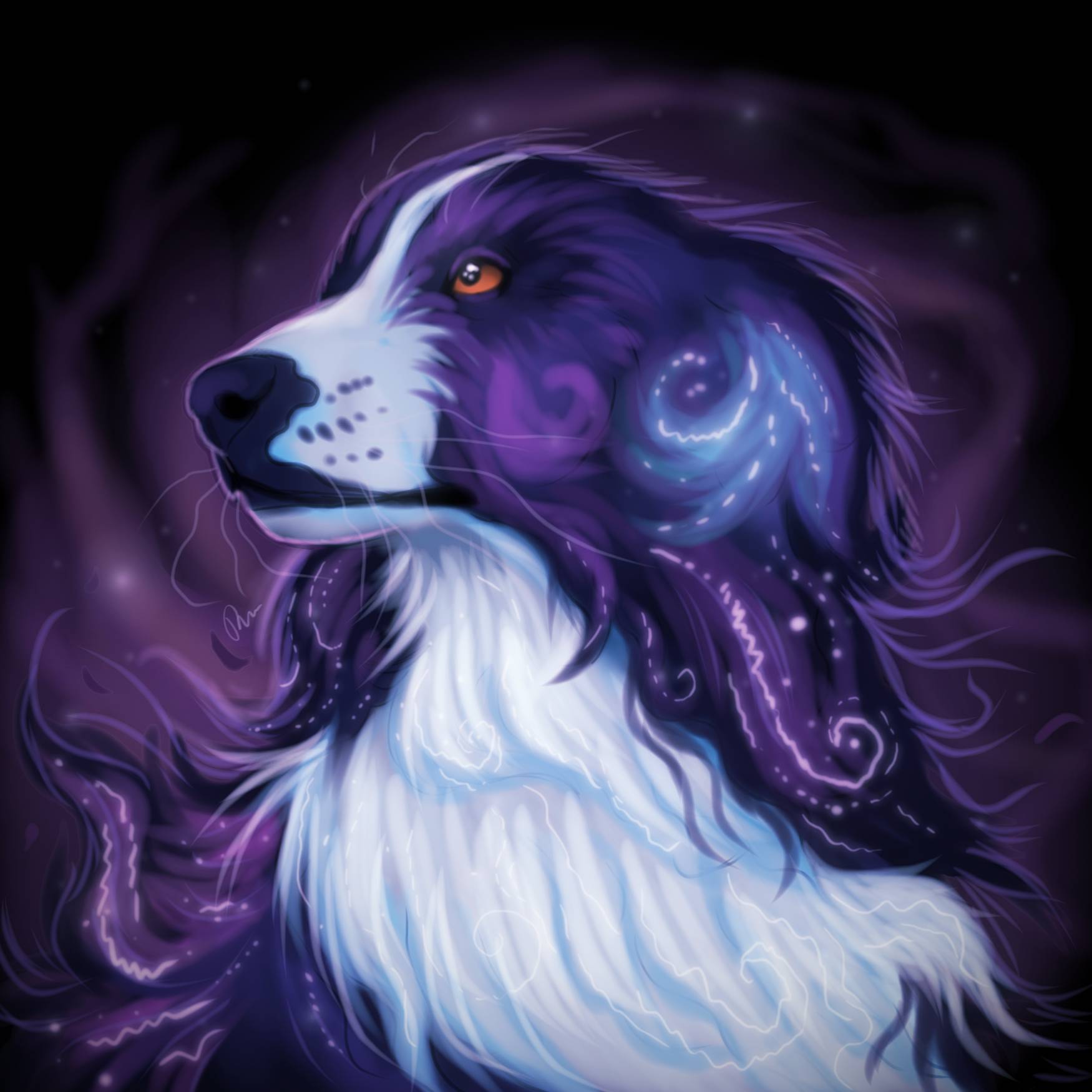 Cute Galaxy Dog Wallpapers