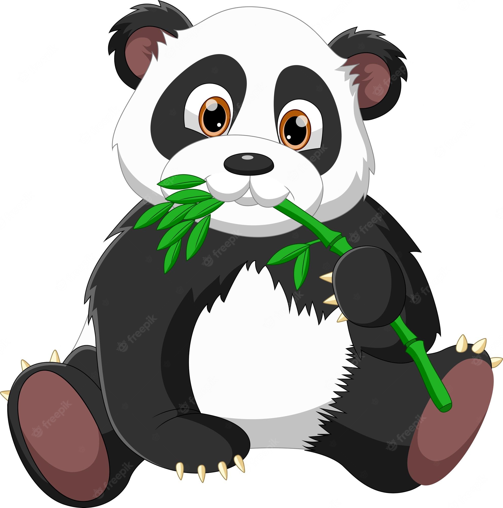 Cute Panda Eating Wallpapers