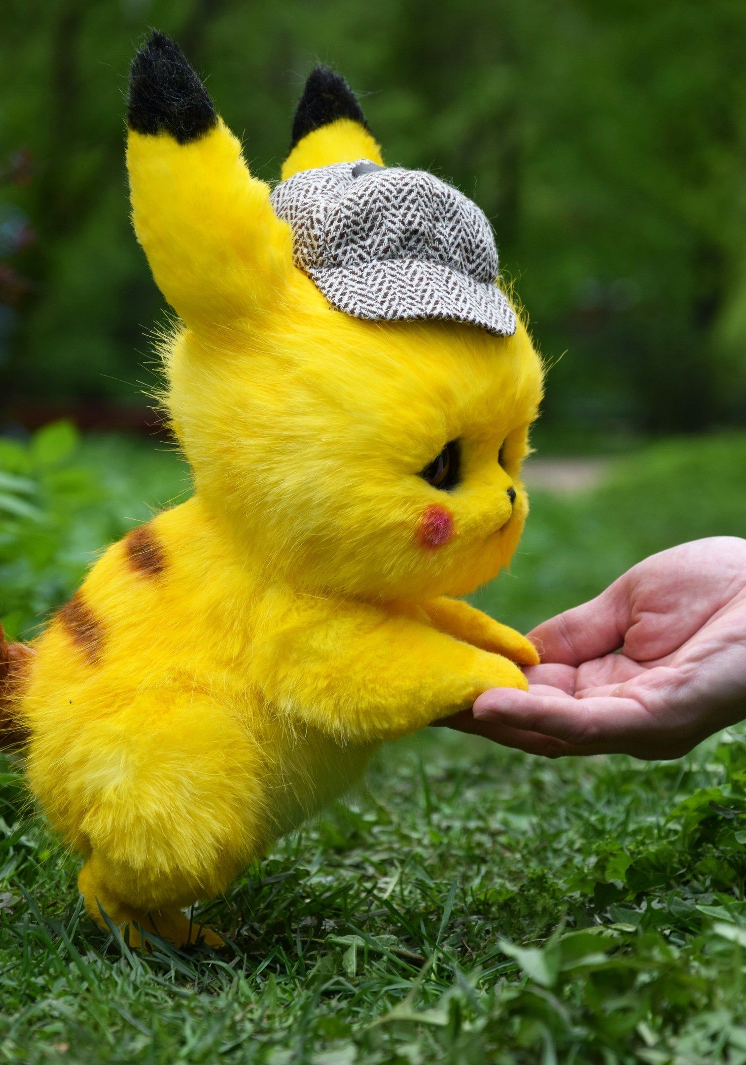 Cute Real Pikachu Wallpapers