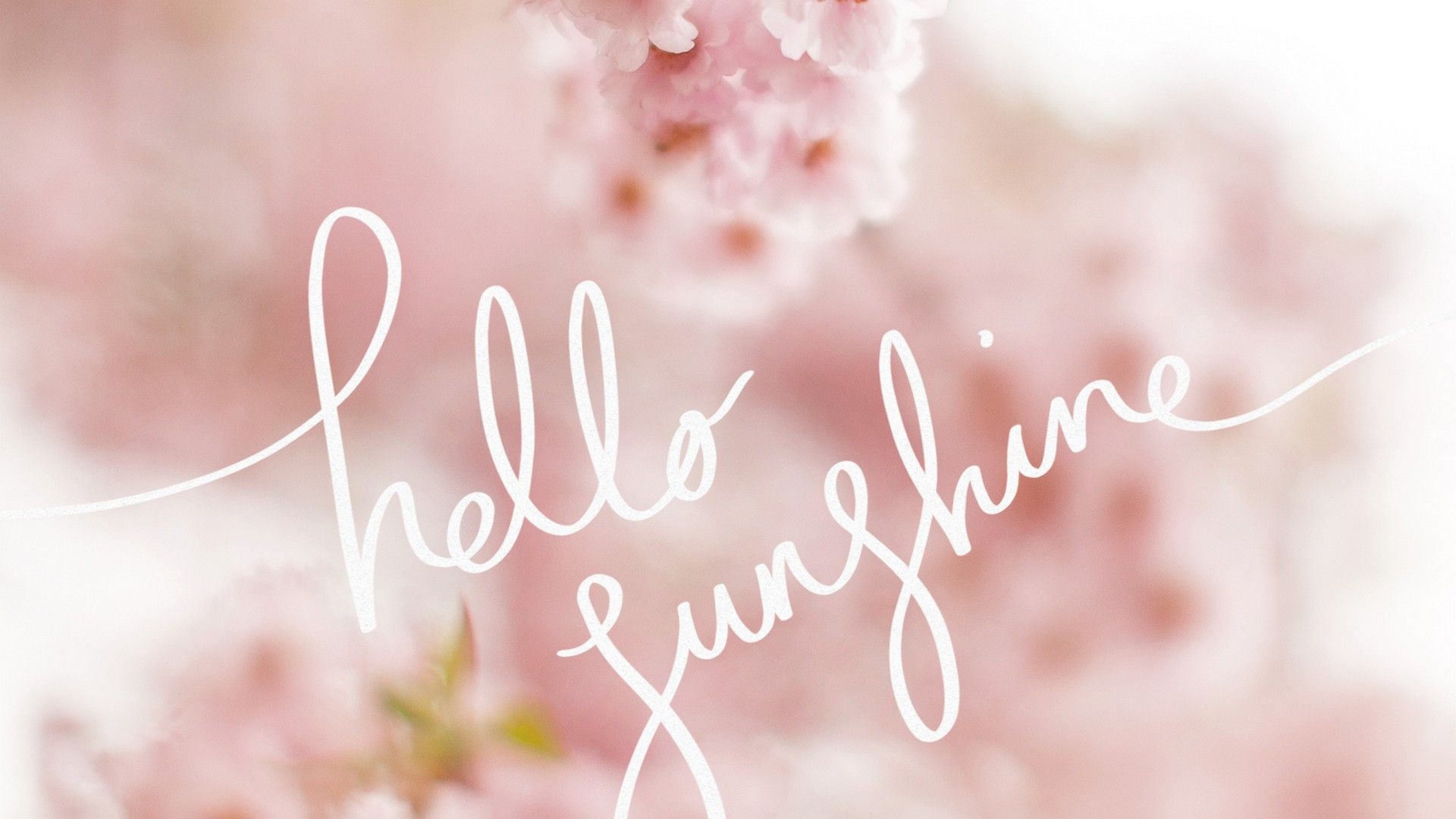 Cute Spring Screensavers Wallpapers