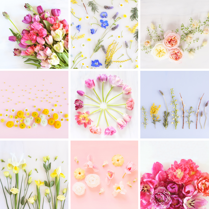 Cute Spring Screensavers Wallpapers