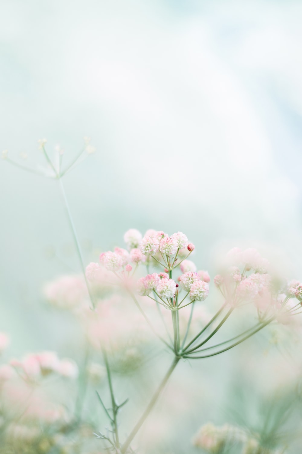 Cute Spring Screensavers Wallpapers