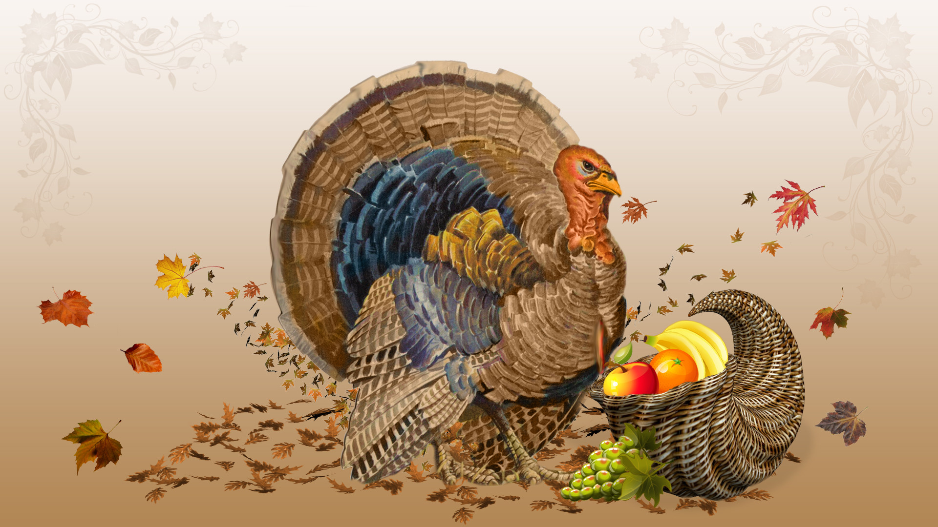 Cute Thanksgiving Turkey Wallpapers