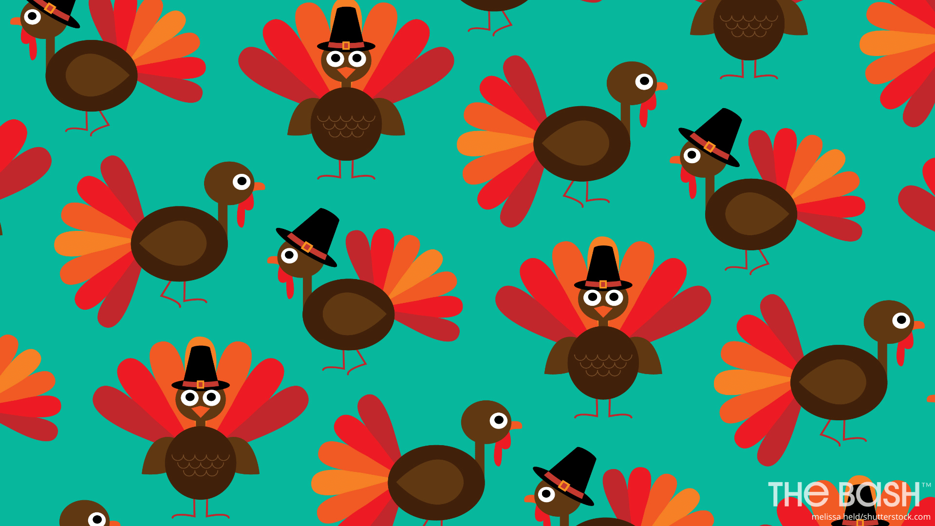 Cute Thanksgiving Turkey Wallpapers