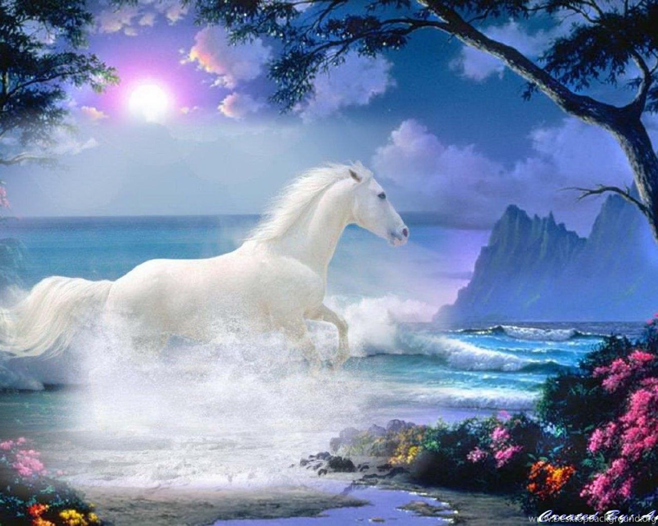 Cute White Horse Wallpapers