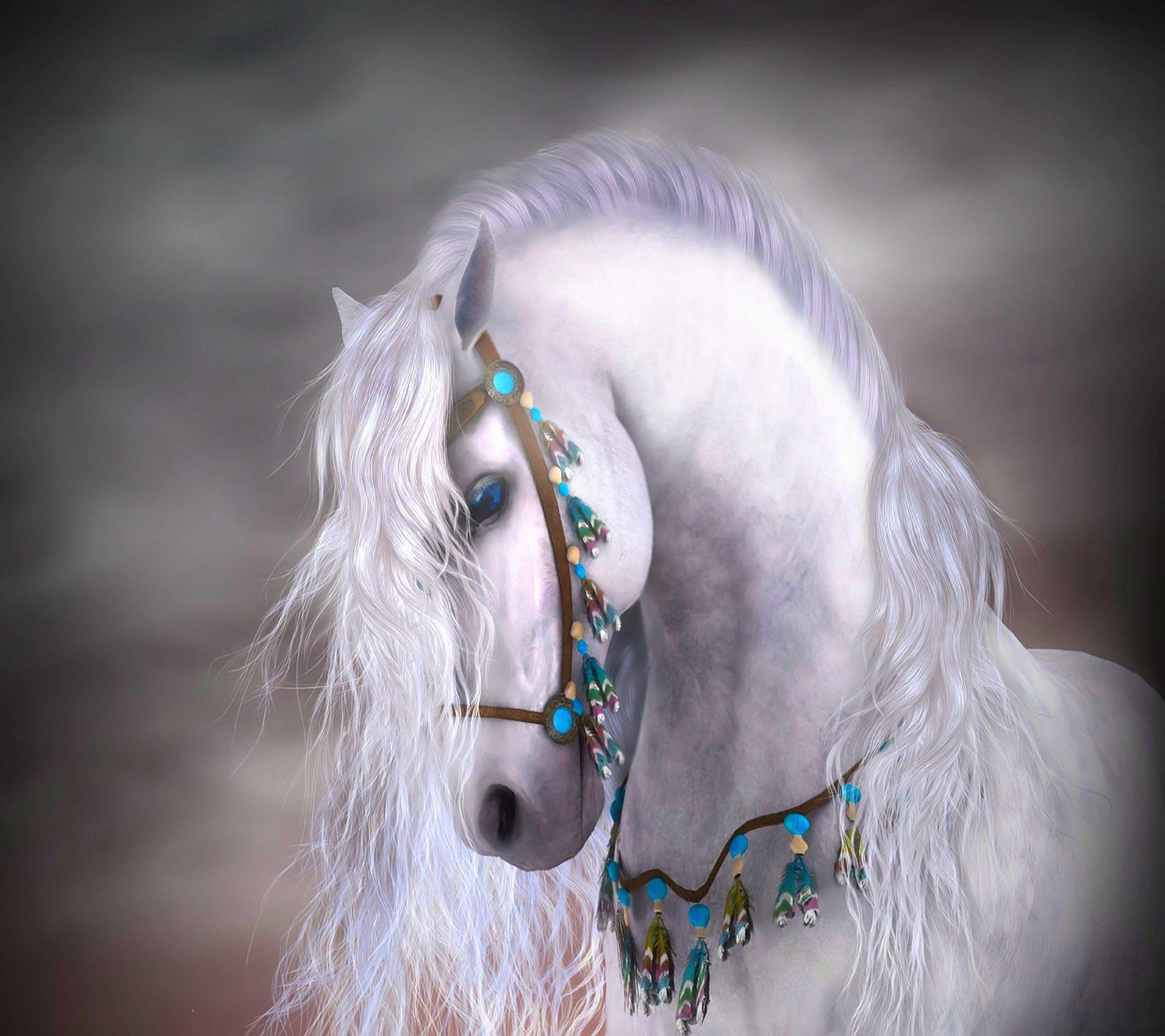 Cute White Horse Wallpapers