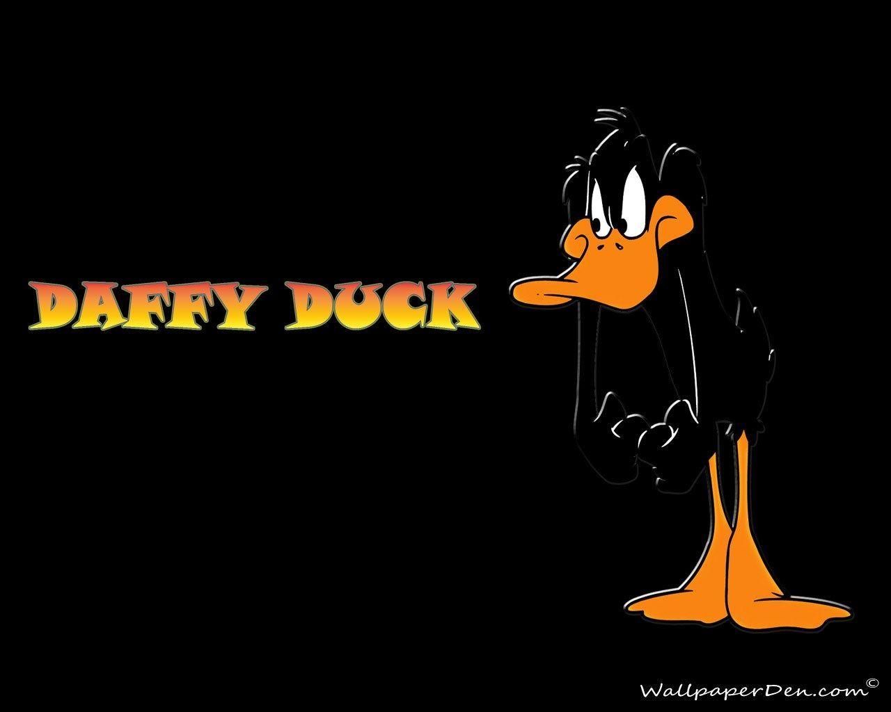 Daffy Duck Wallpapers