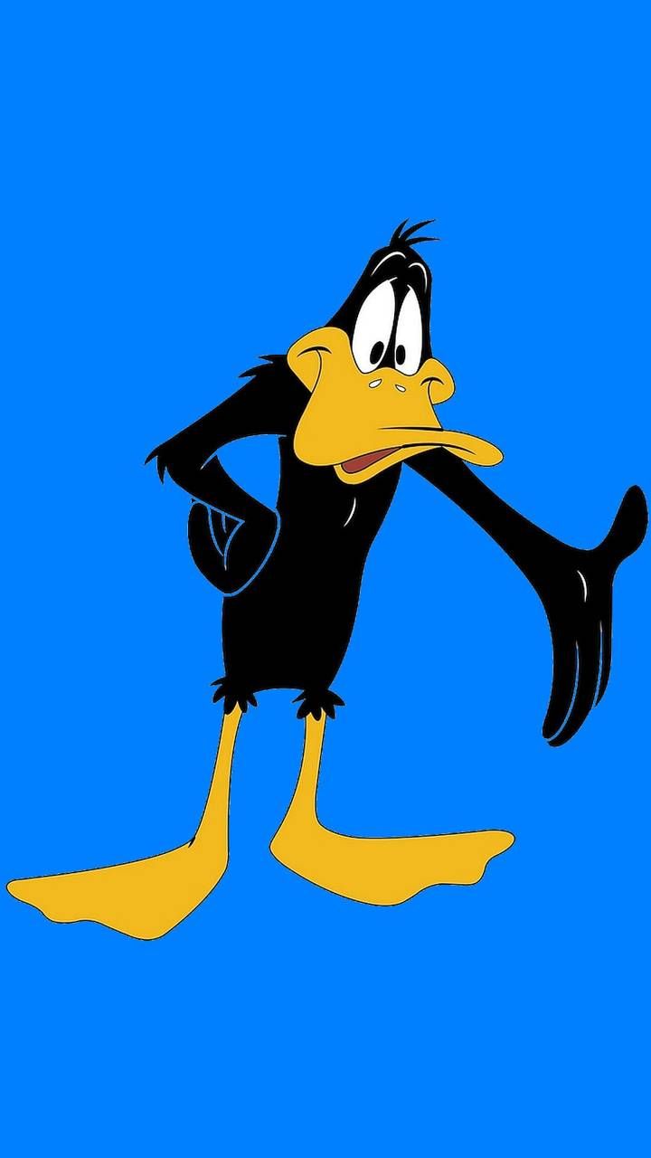 Daffy Duck Wallpapers