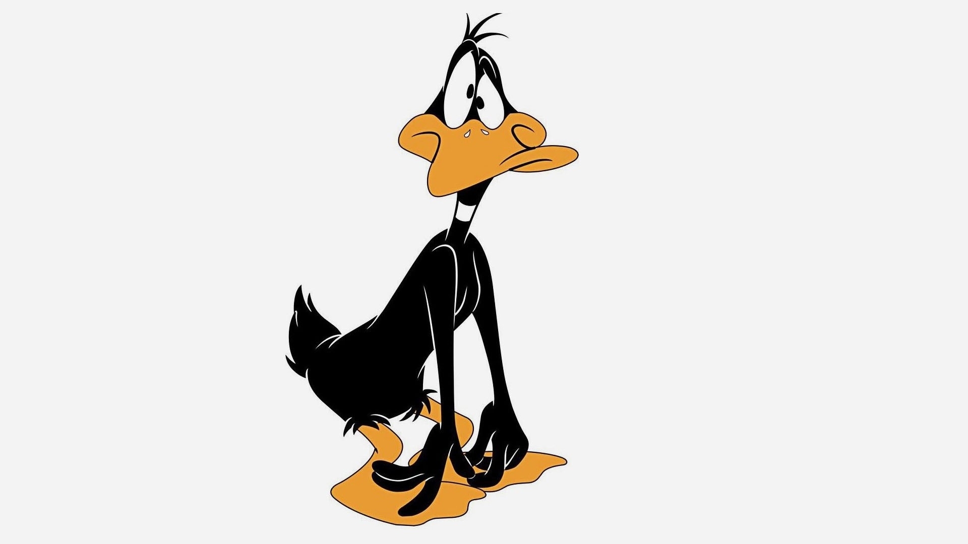 Daffy Duck Wallpapers