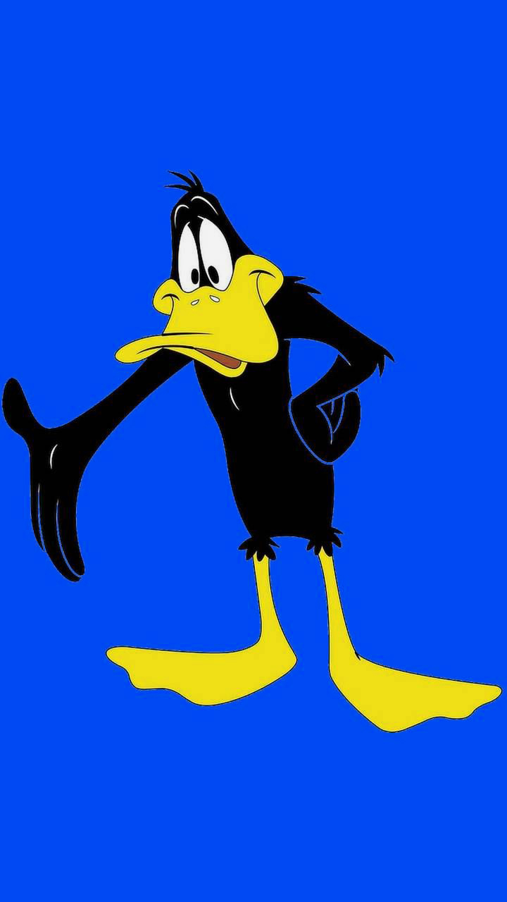 Daffy Duck Wallpapers