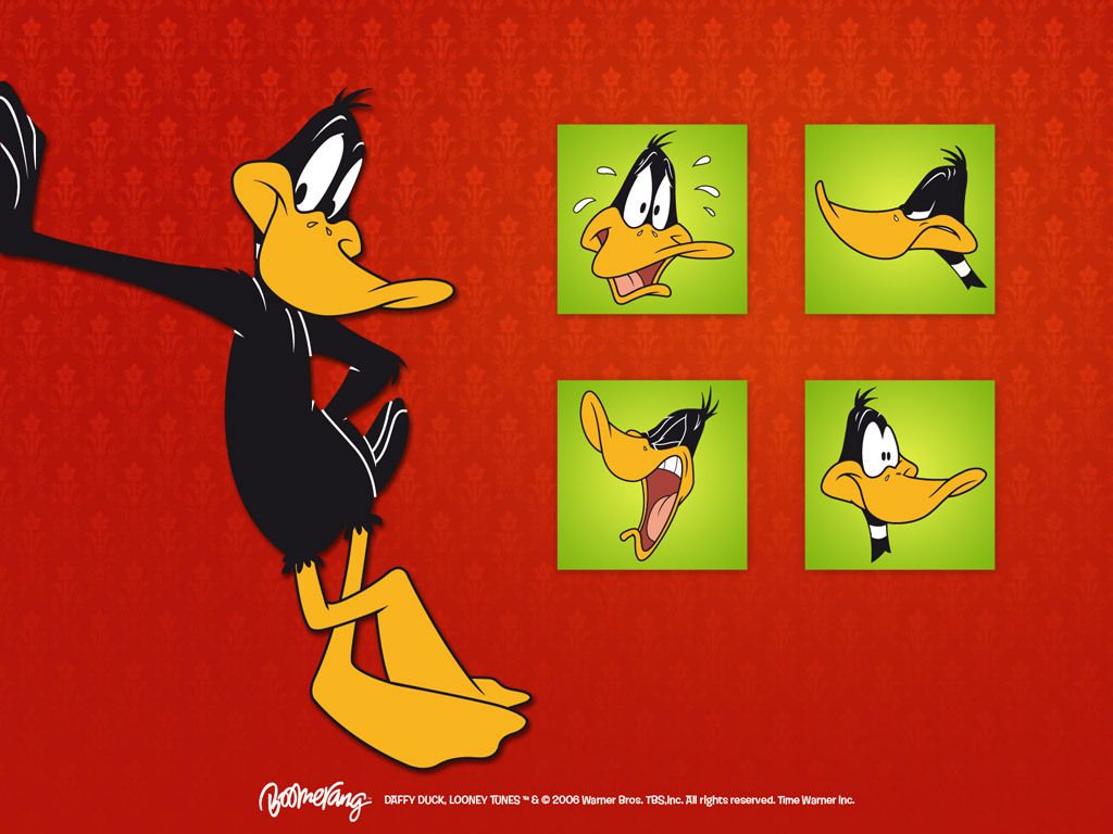 Daffy Duck Wallpapers