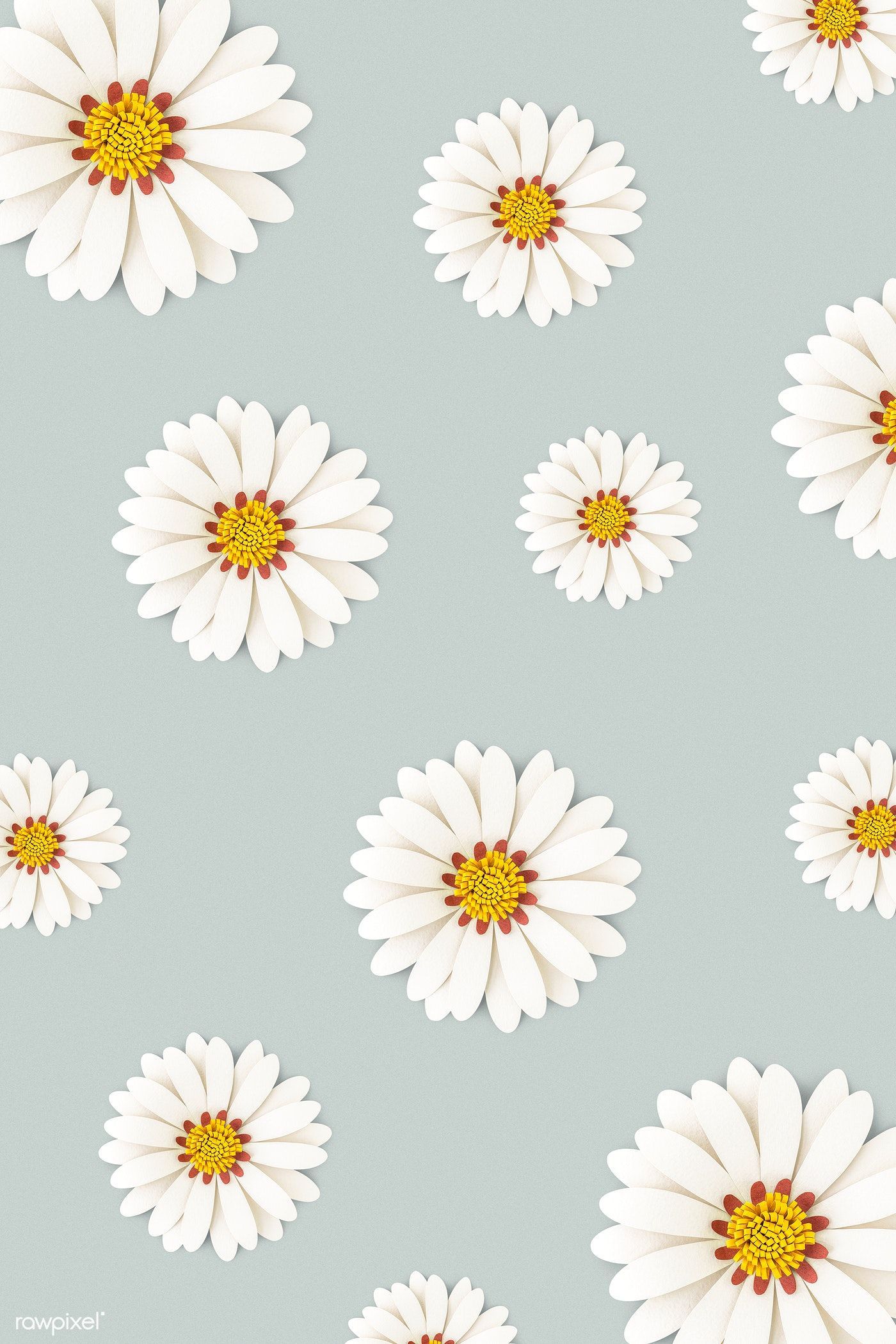 Daisy Iphone Wallpapers
