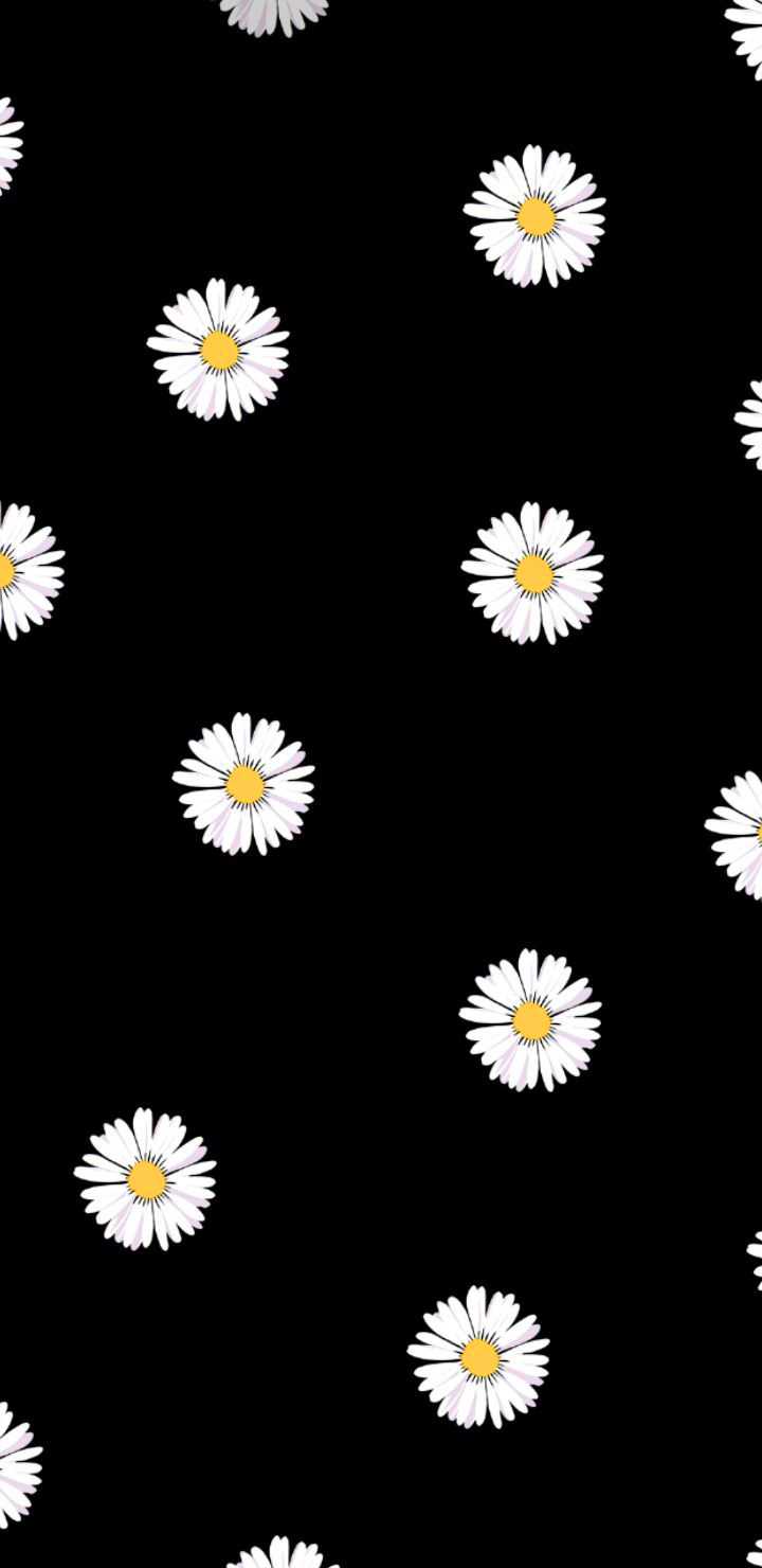 Daisy Phone Wallpapers