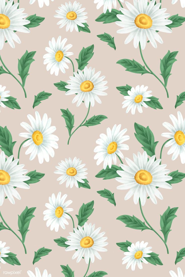 Daisy Phone Wallpapers