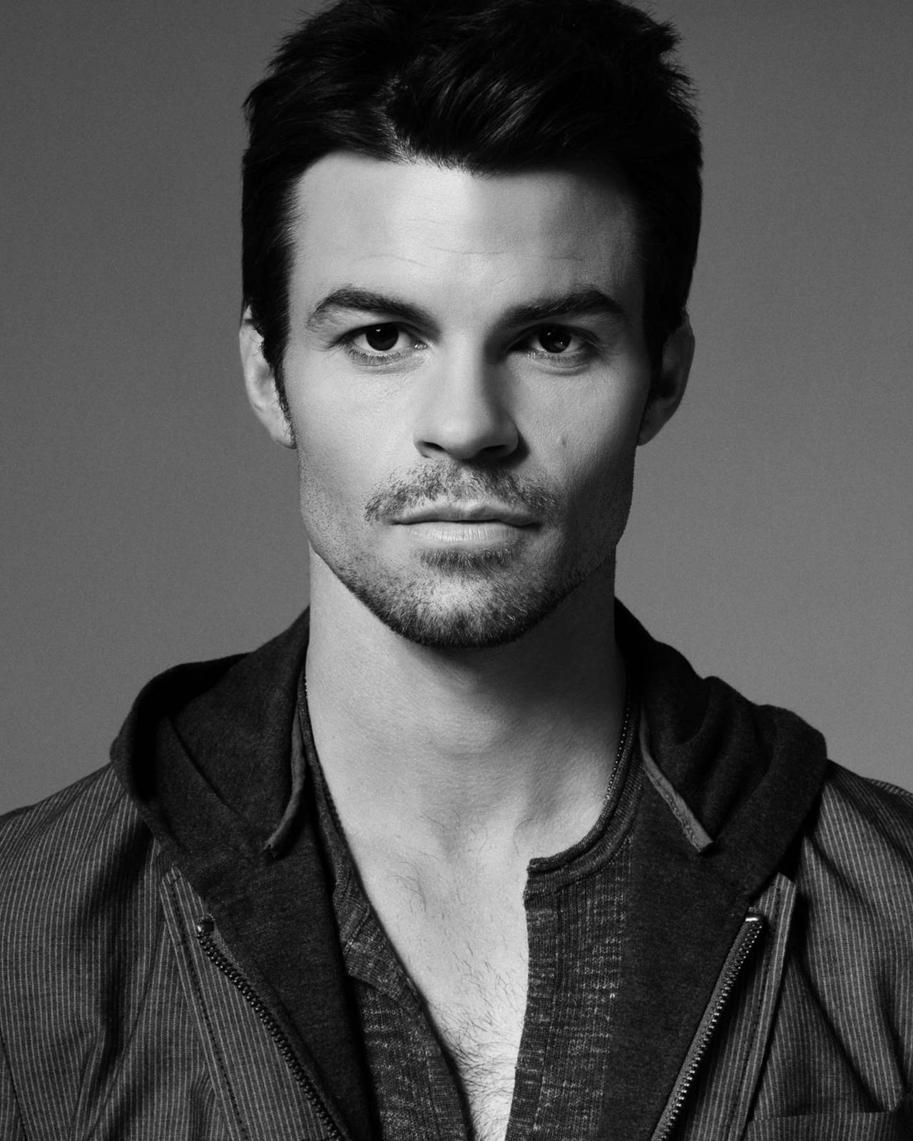 Daniel Gillies Photoshoot Wallpapers