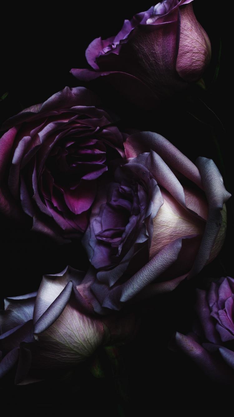 Dark Floral Phone Wallpapers