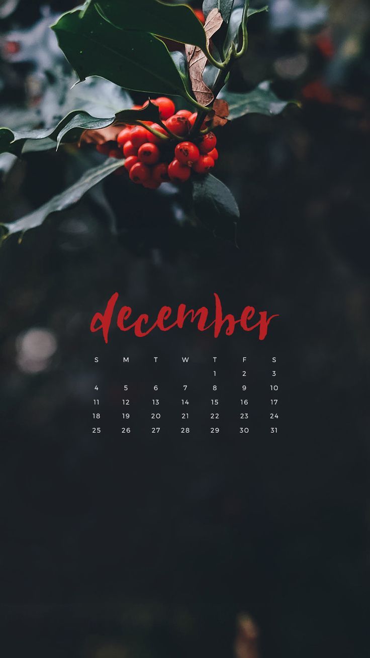 December 2016 Wallpapers