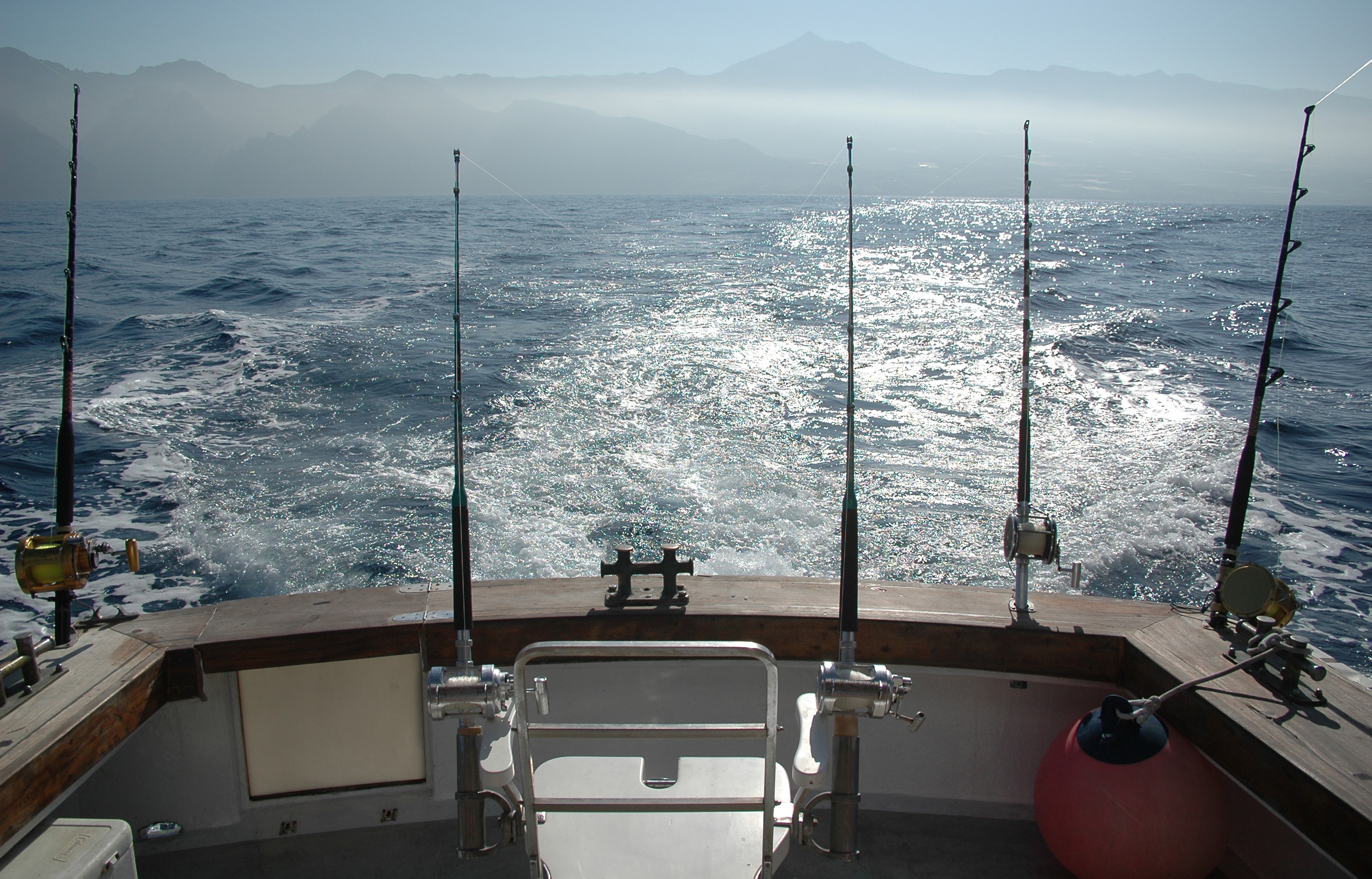 Deep Sea Fishing Wallpapers