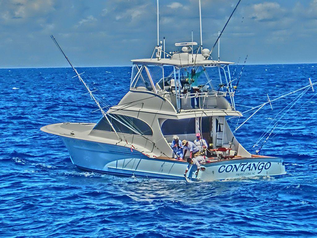 Deep Sea Fishing Wallpapers