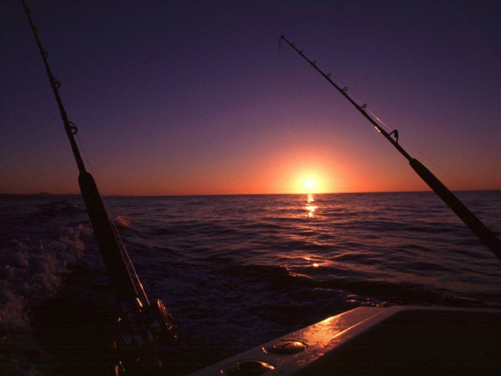 Deep Sea Fishing Wallpapers