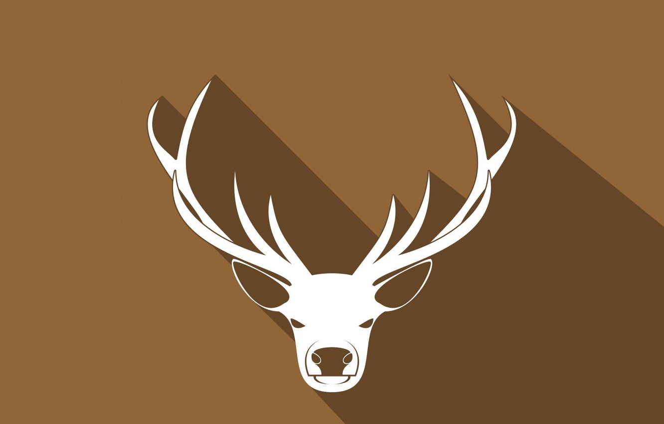 Deer Antler Wallpapers