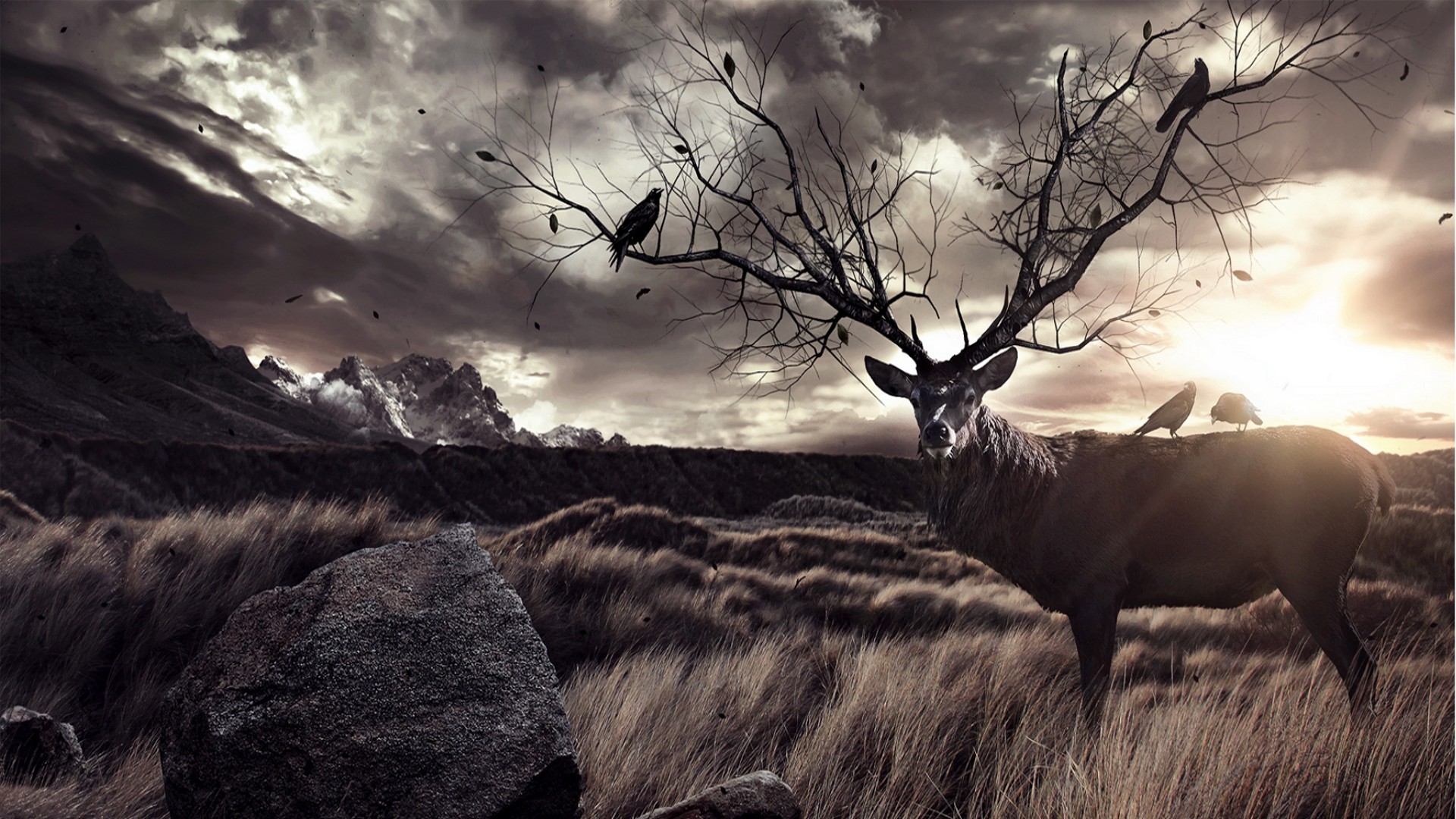 Deer Hunting Wallpapers