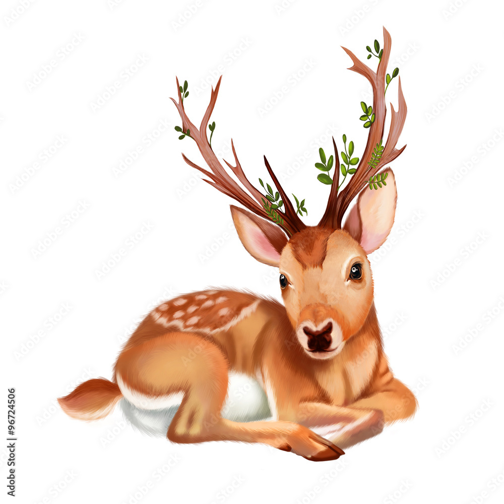 Deer Scene Wallpapers