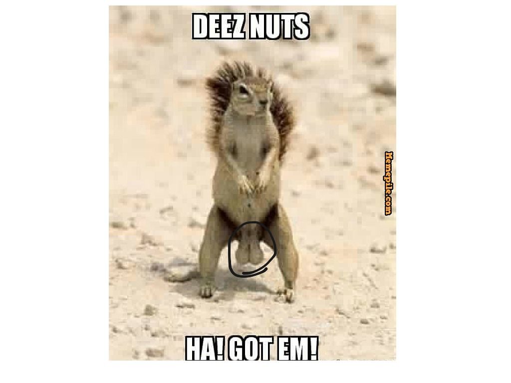 Deez Nuts Wallpapers