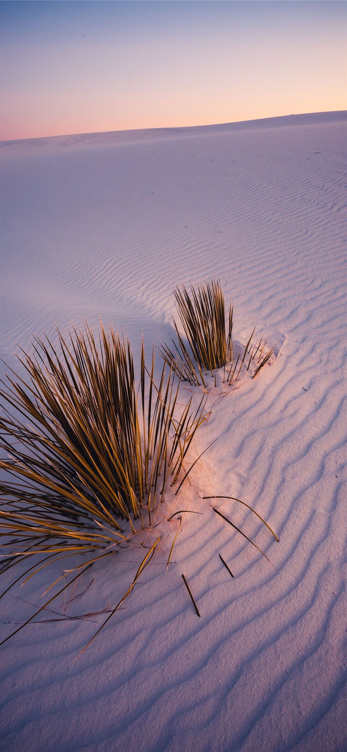 Desert Iphone Wallpapers