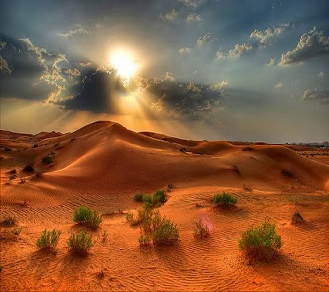 Desert Landscape Hd Wallpapers