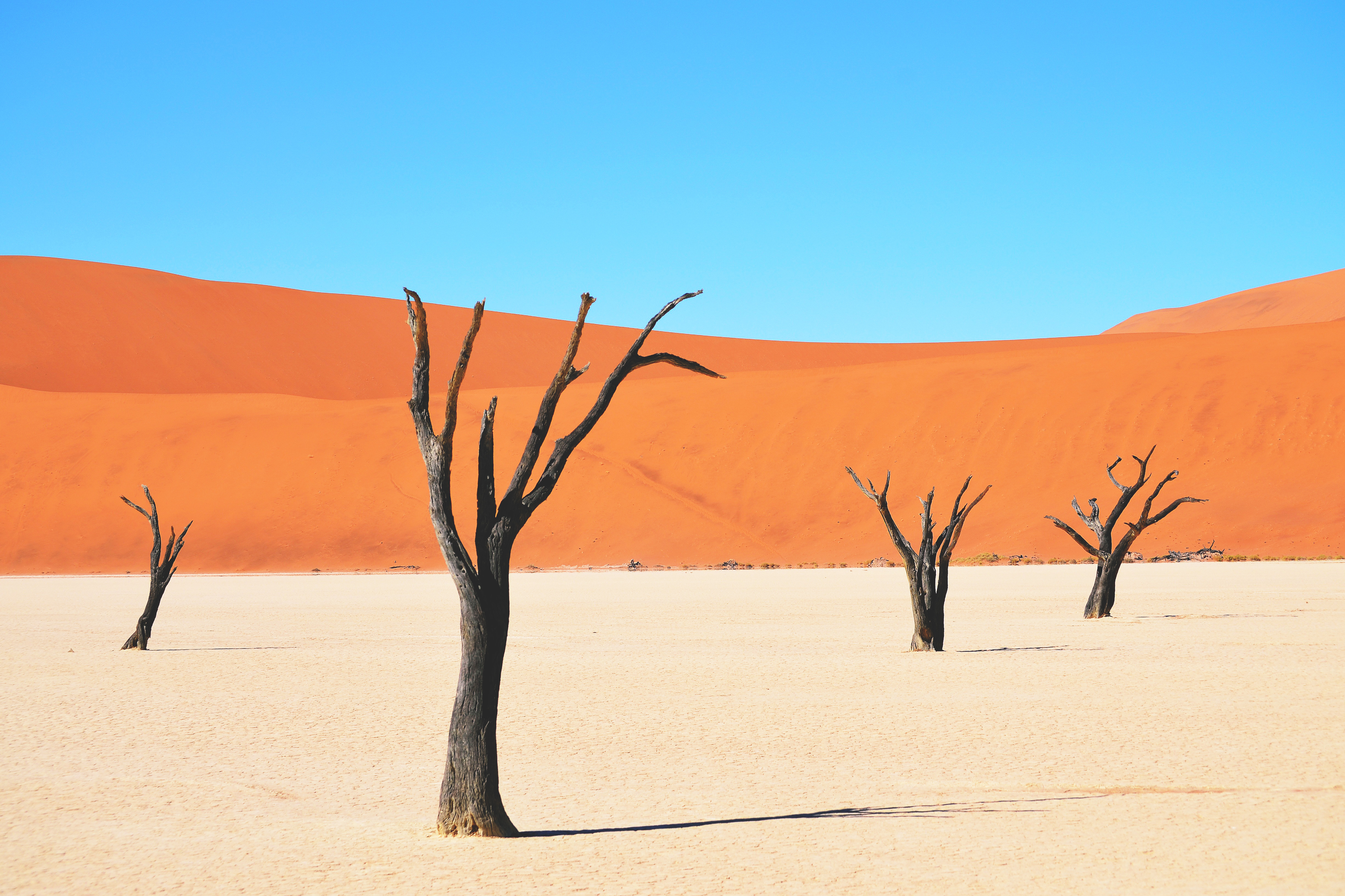 Desert Landscape Hd Wallpapers