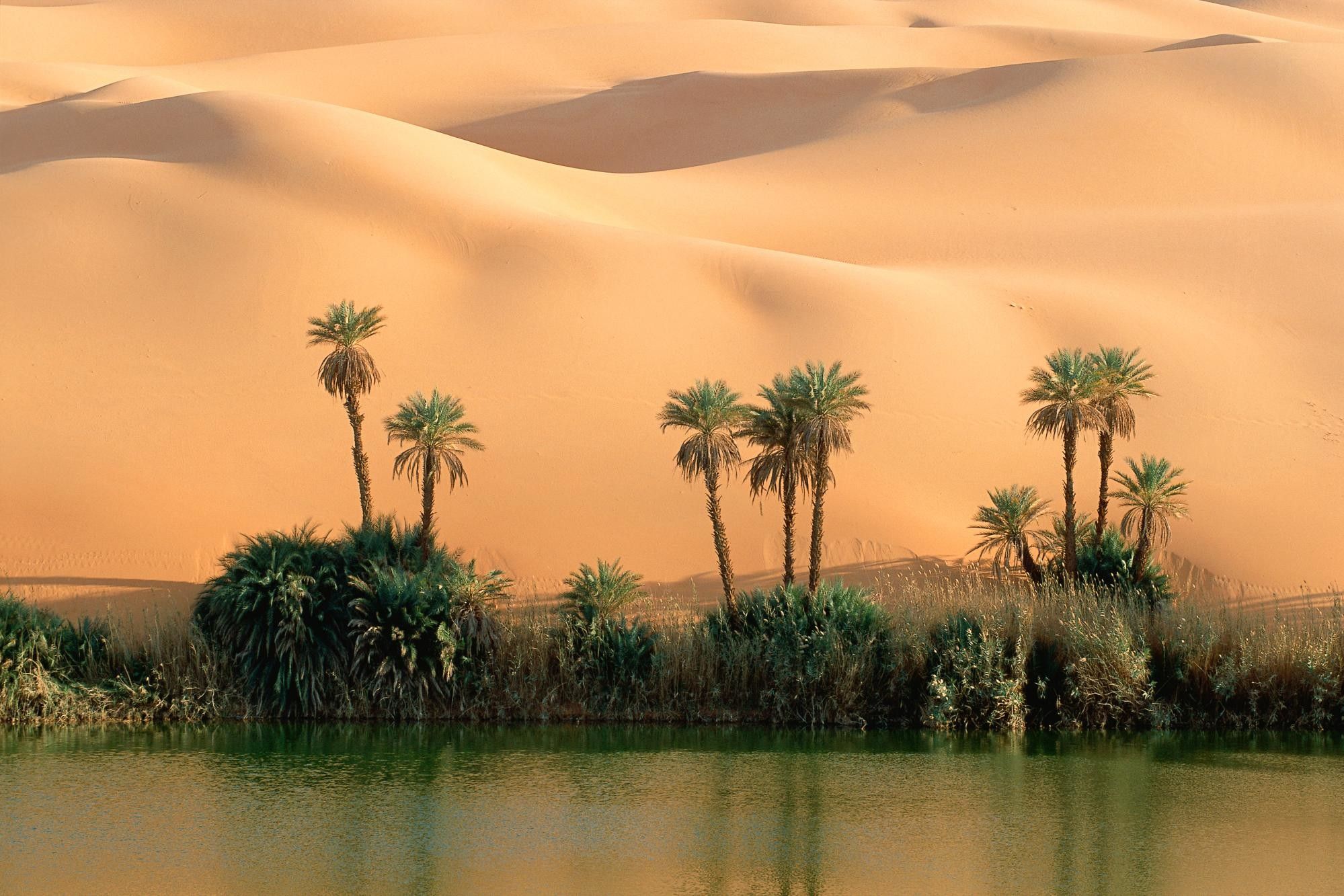 Desert Oasis Wallpapers