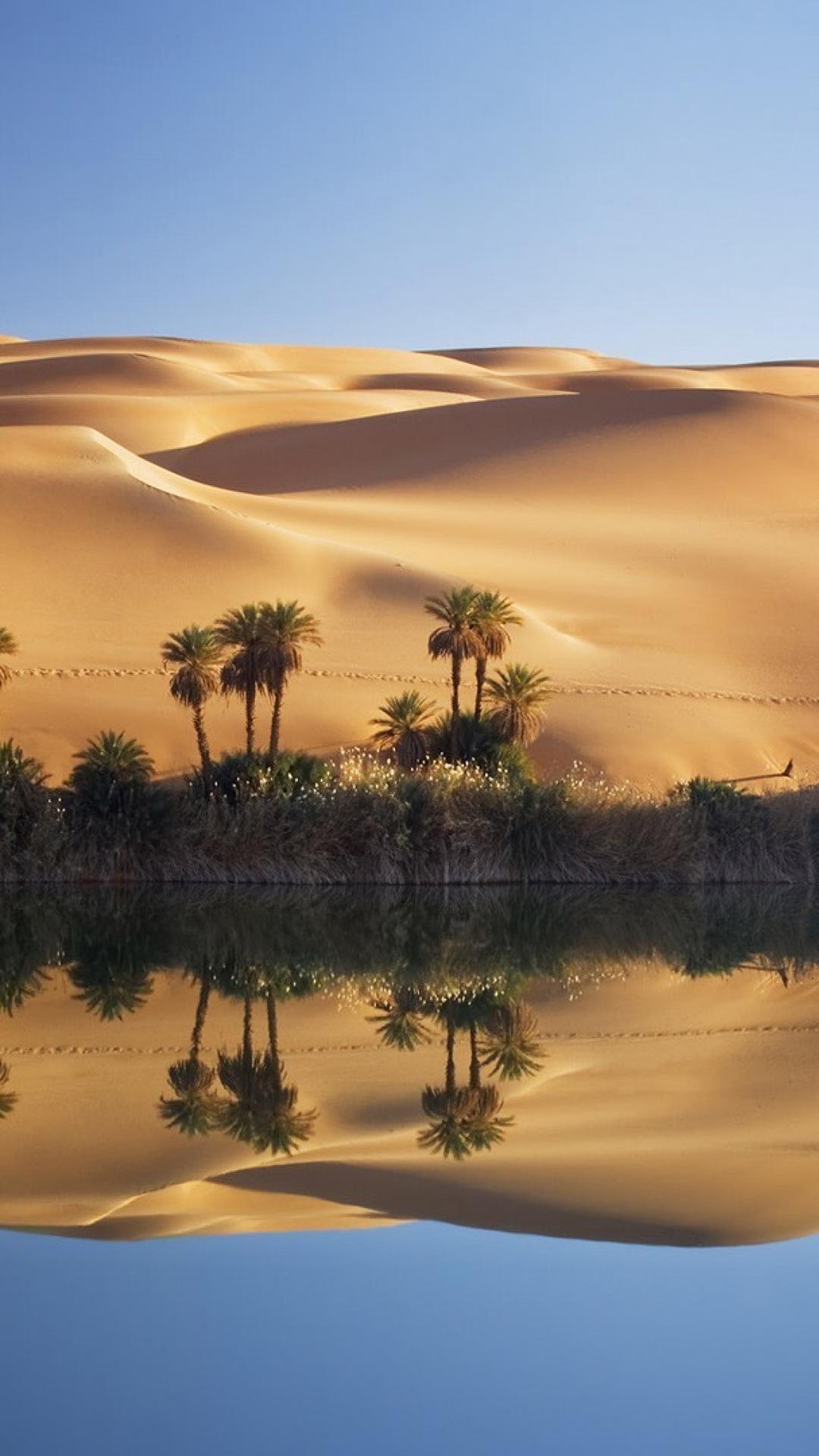 Desert Oasis Wallpapers