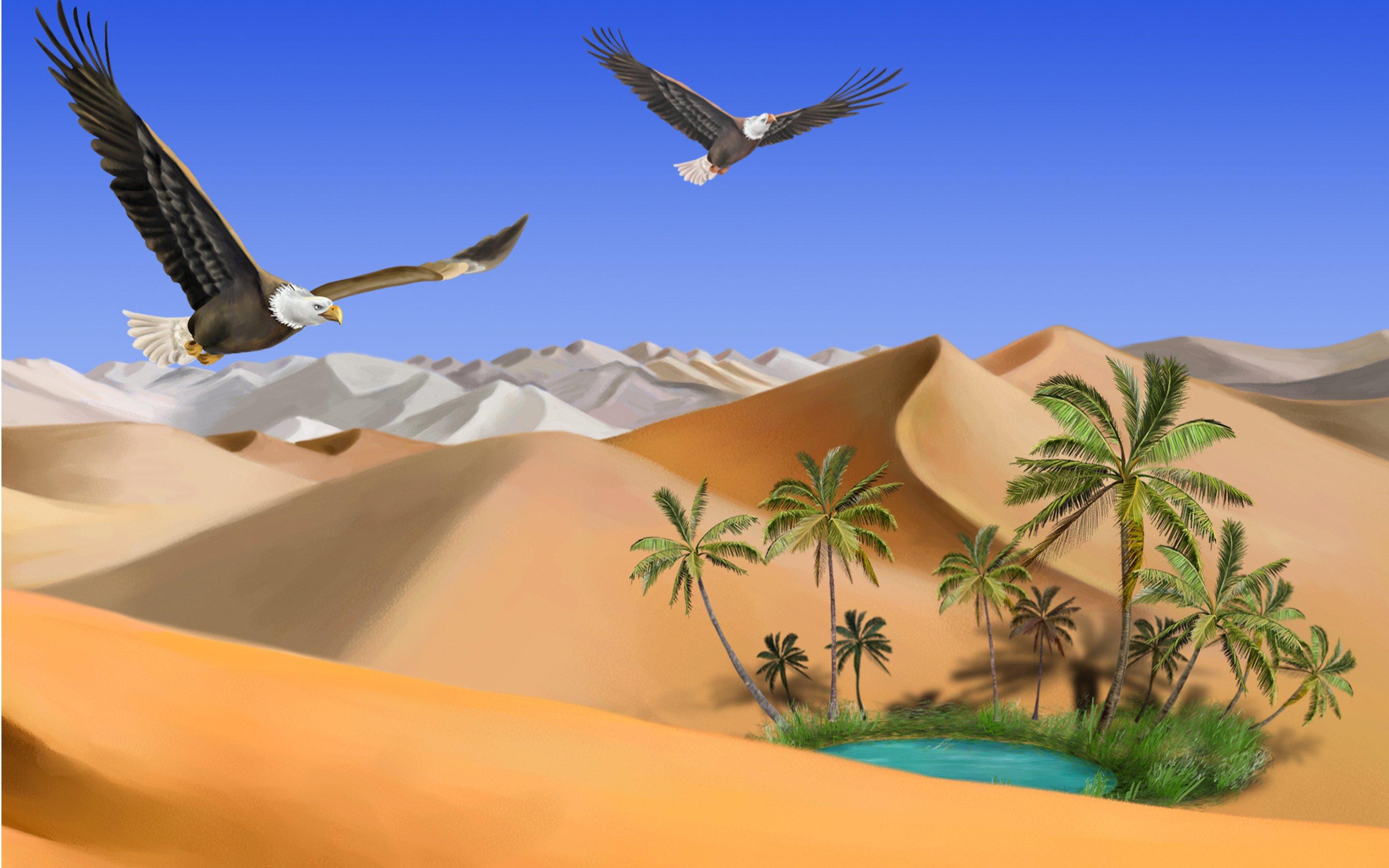 Desert Oasis Wallpapers