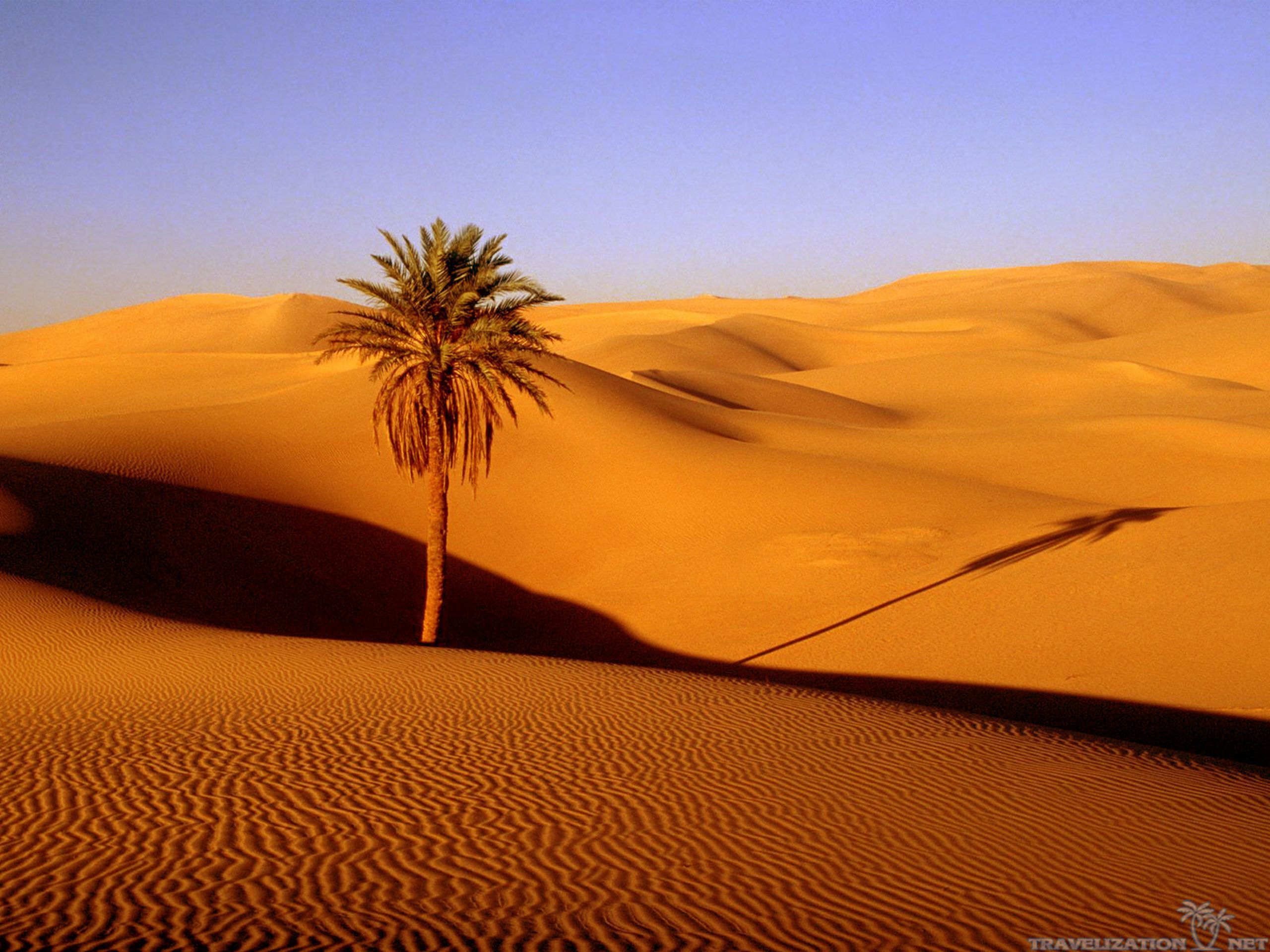 Desert Scenery Wallpapers