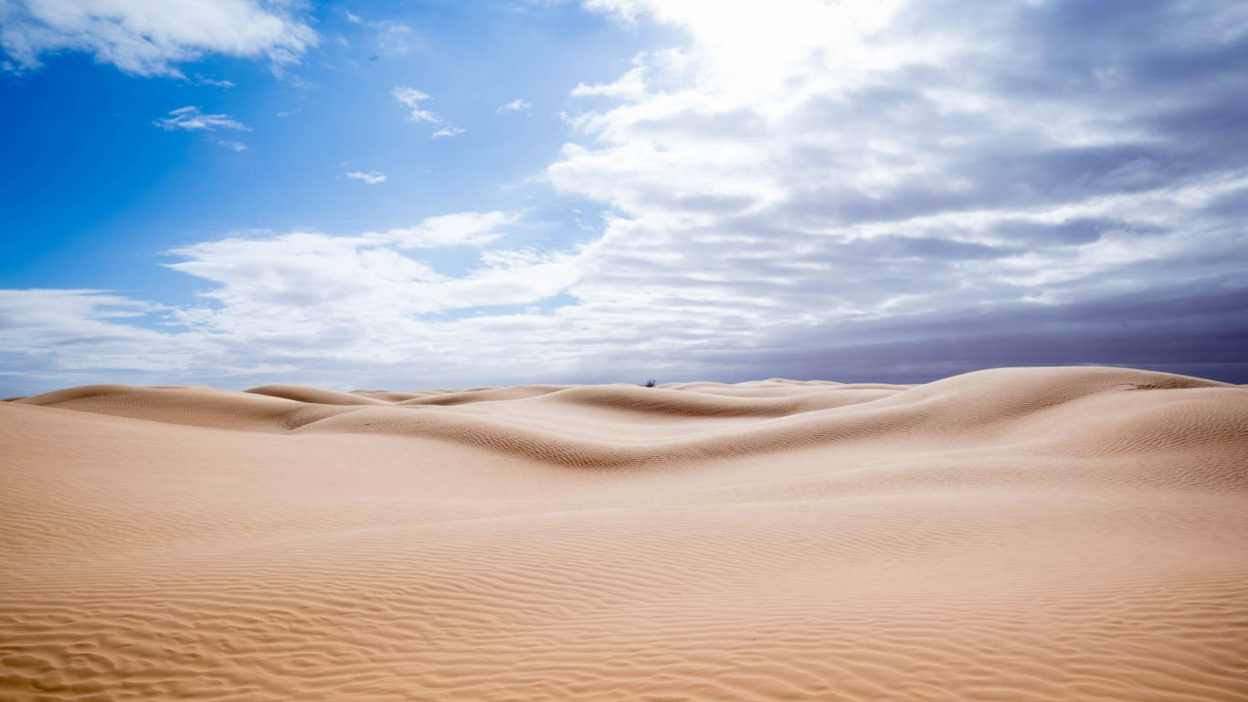 Desert Scenery Wallpapers