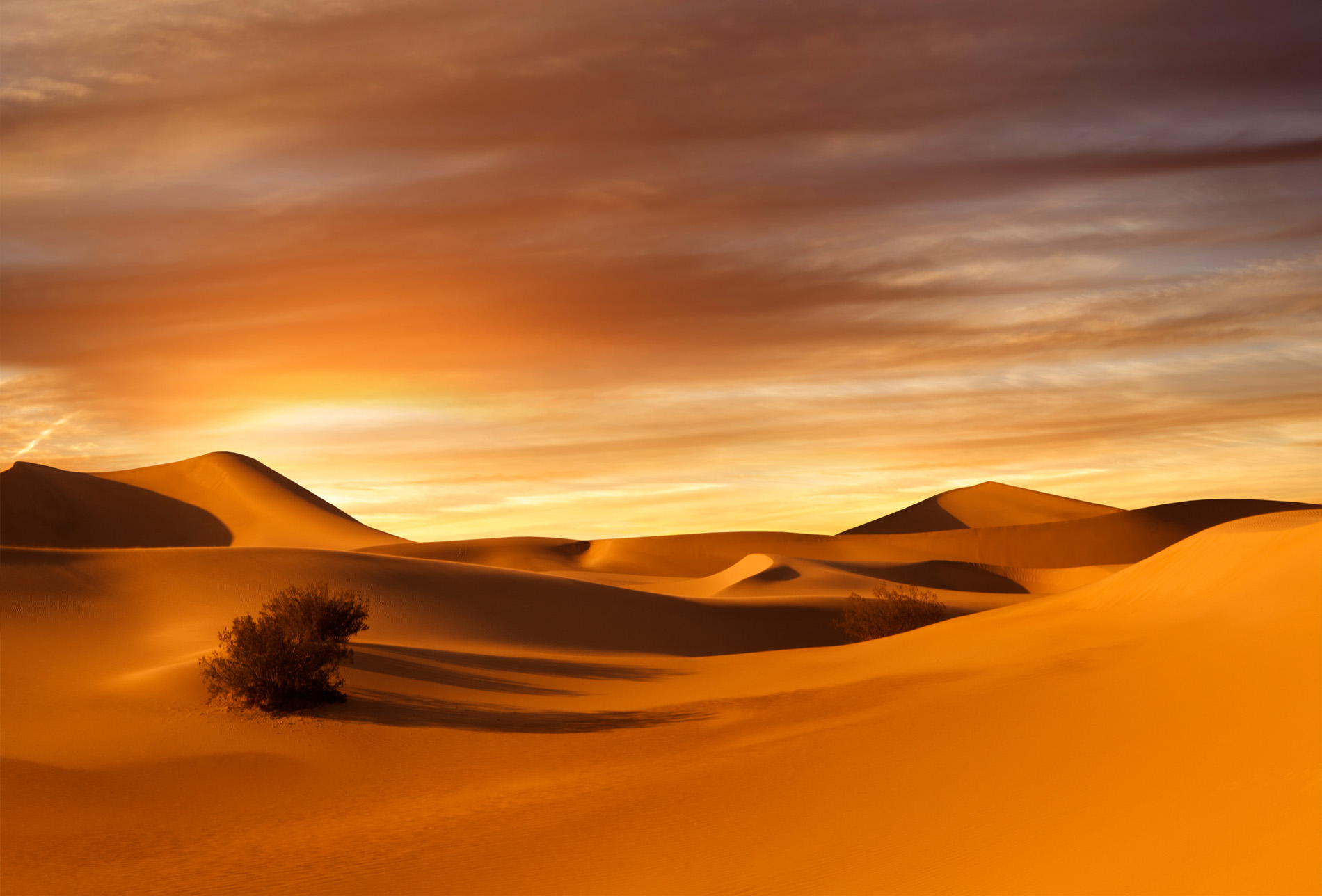 Desert Scenery Wallpapers