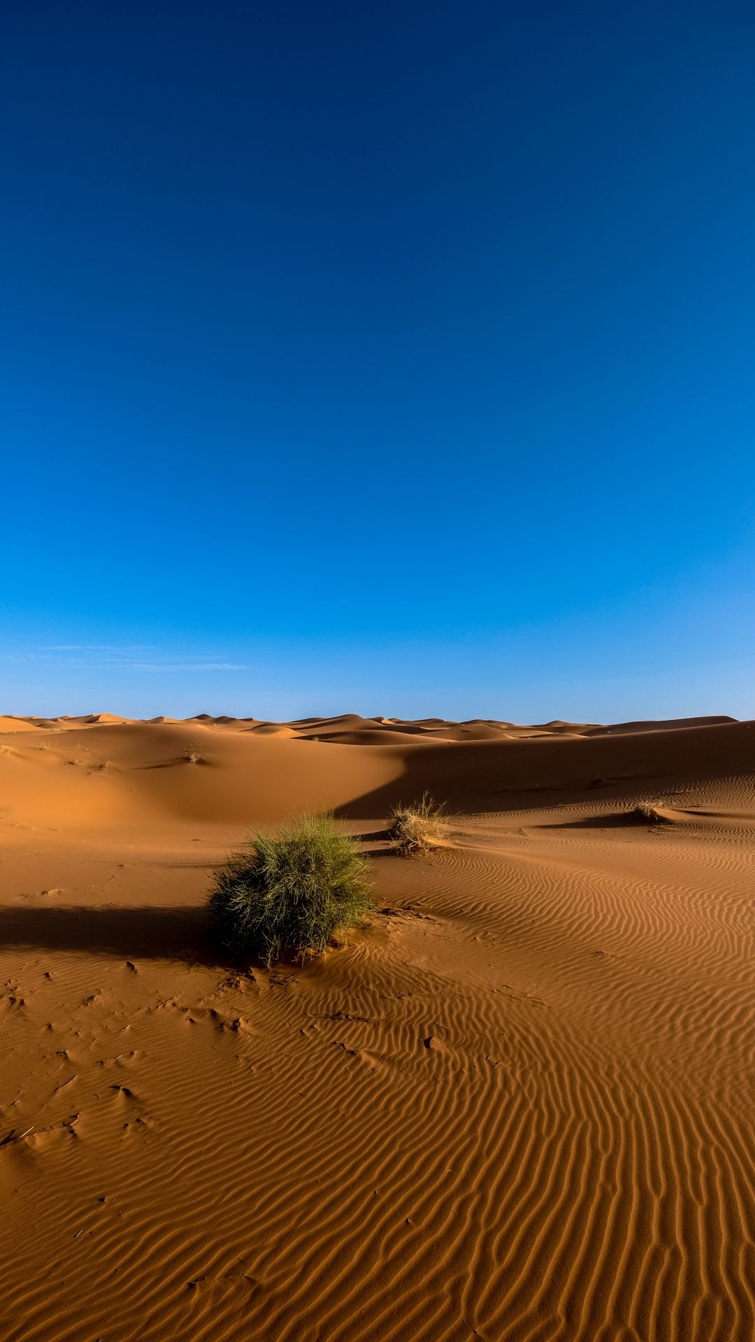 Desert Sky Wallpapers