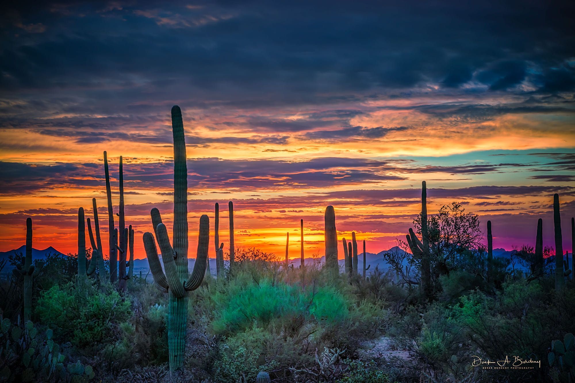 Desert Sunset Wallpapers