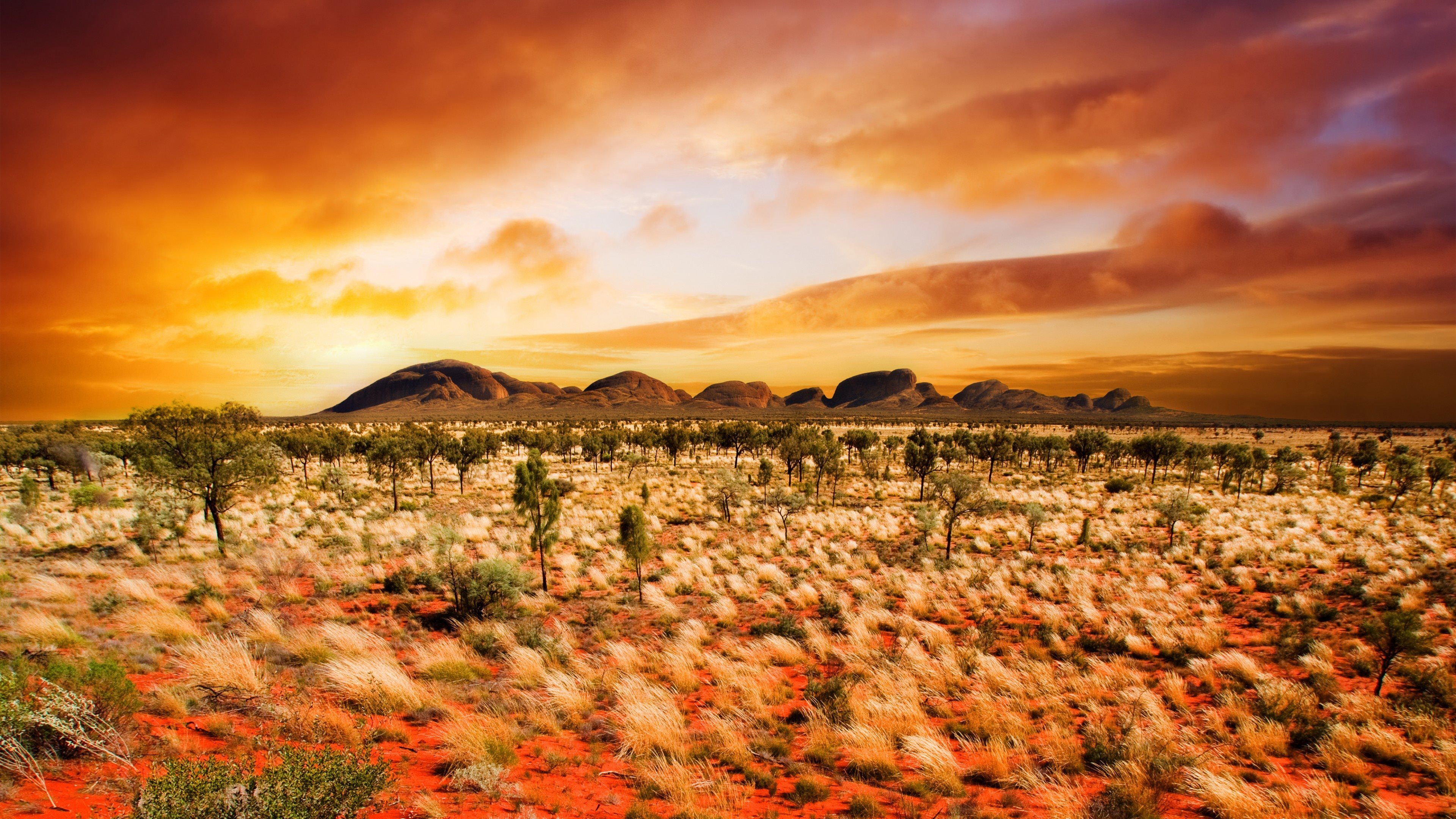 Desert Sunset Wallpapers