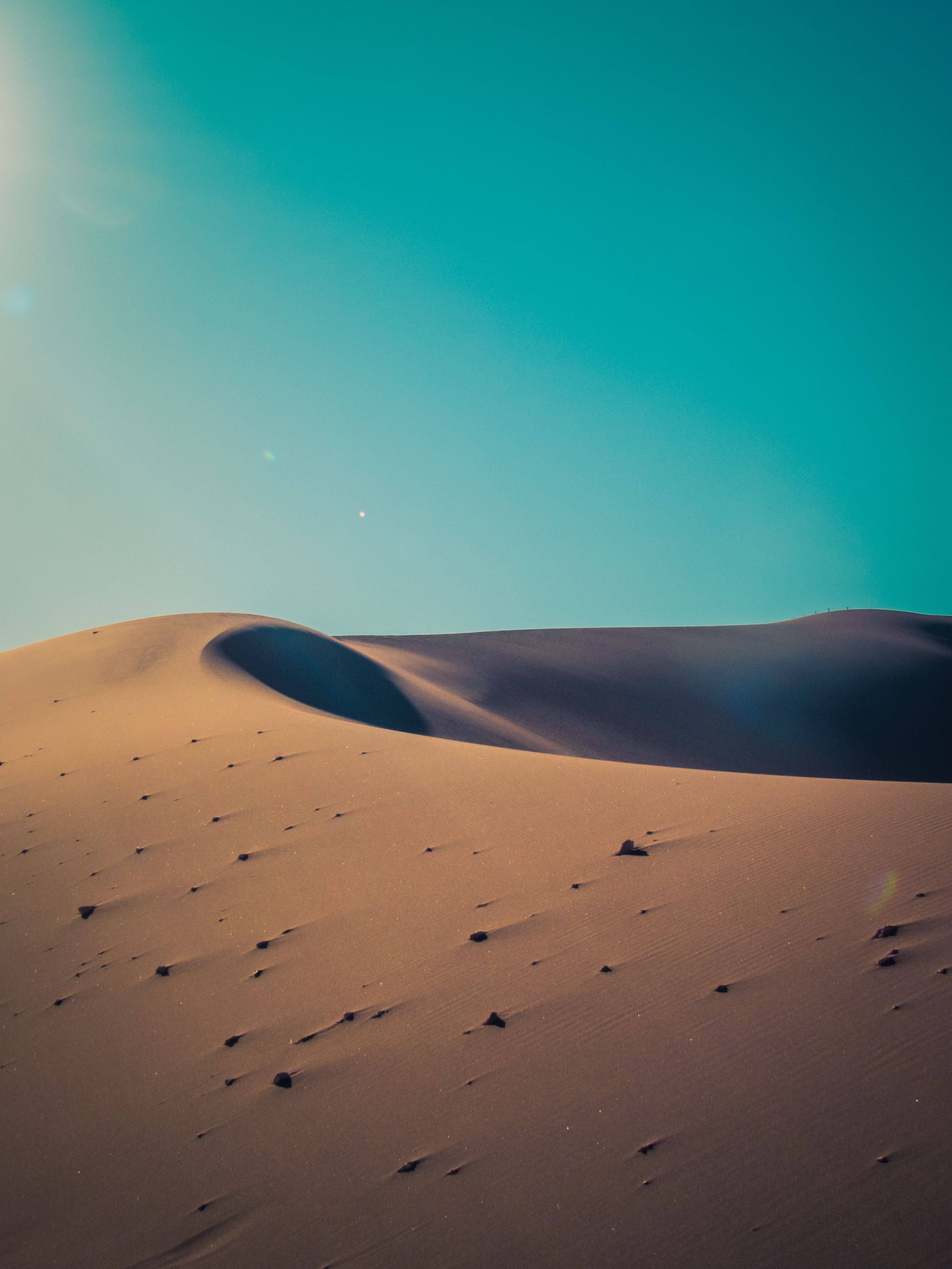 Desert Themed Wallpapers