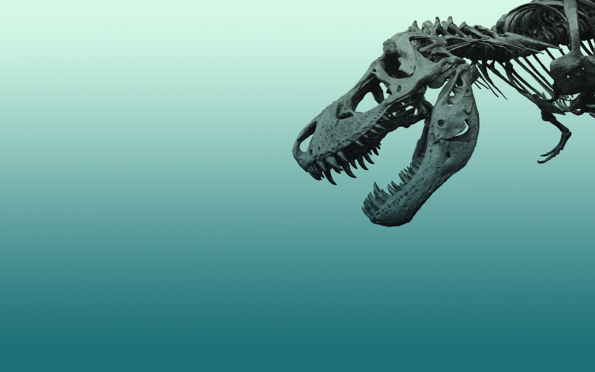 Dinosaur Skeleton Wallpapers