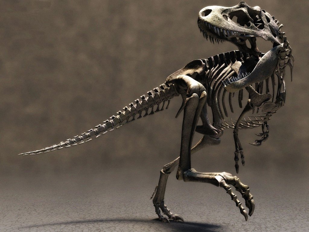 Dinosaur Skeleton Wallpapers