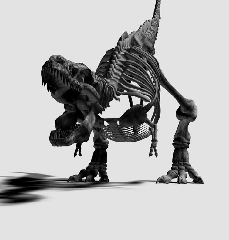 Dinosaur Skeleton Wallpapers