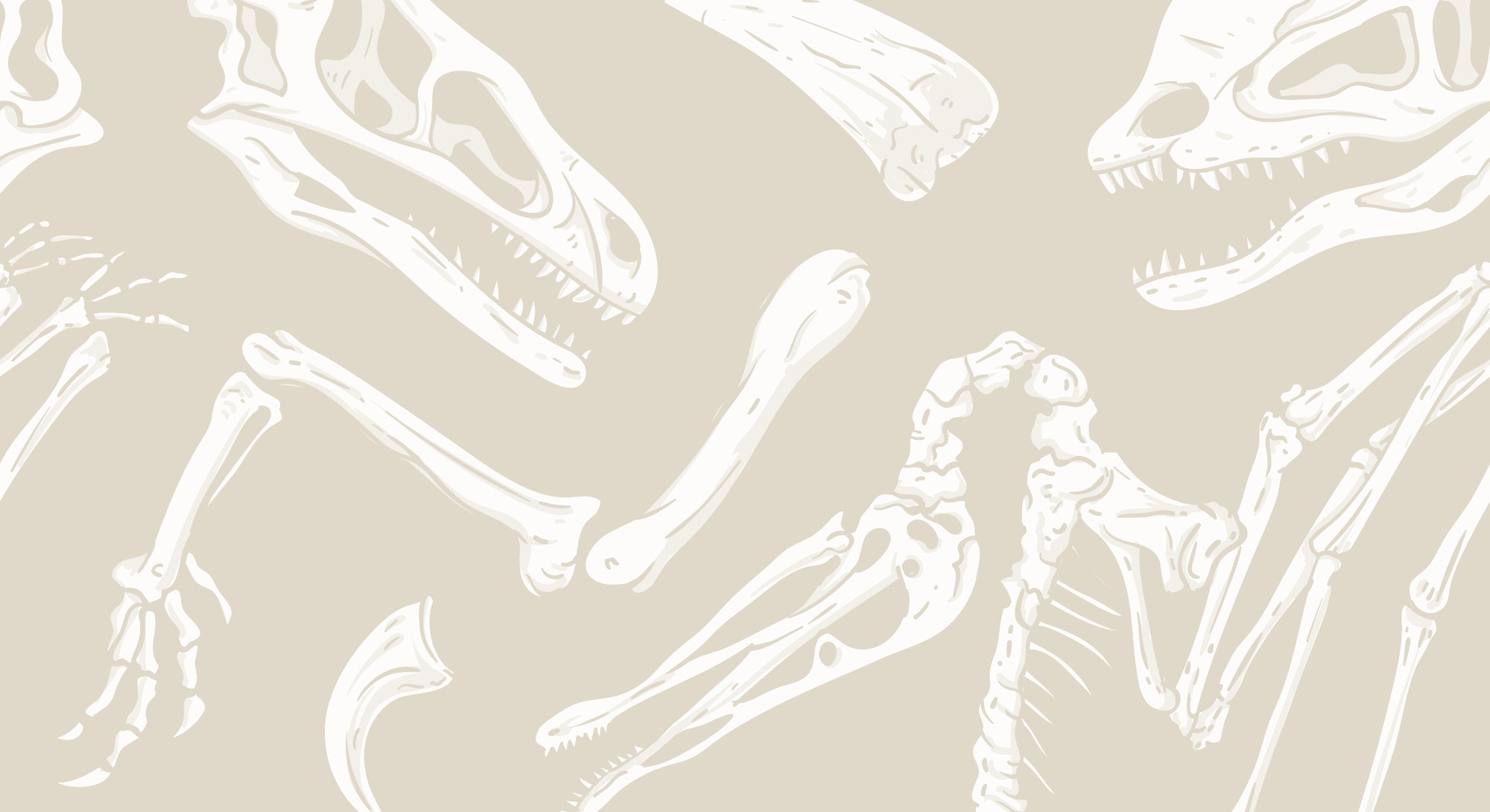 Dinosaur Skeleton Wallpapers