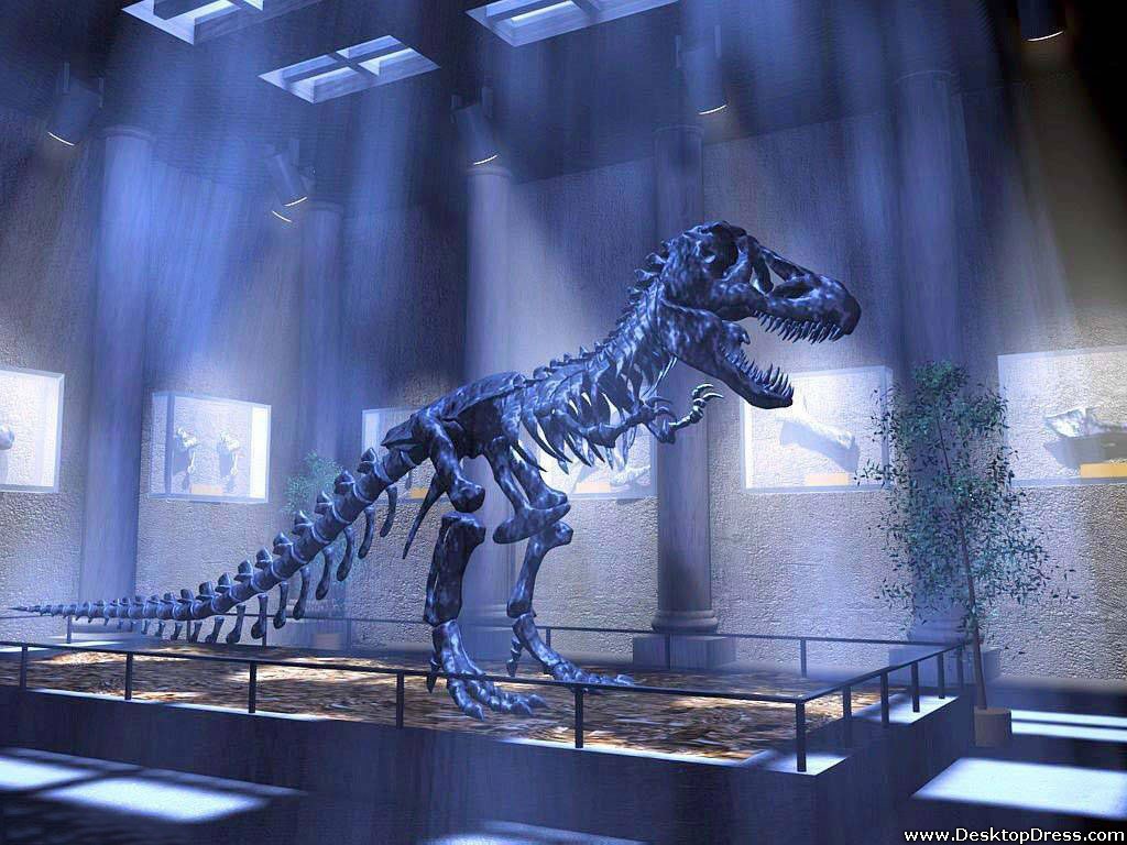 Dinosaur Skeleton Wallpapers