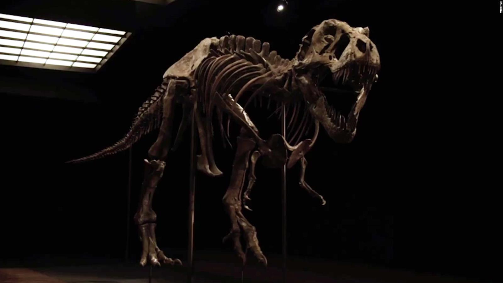 Dinosaur Skeleton Wallpapers