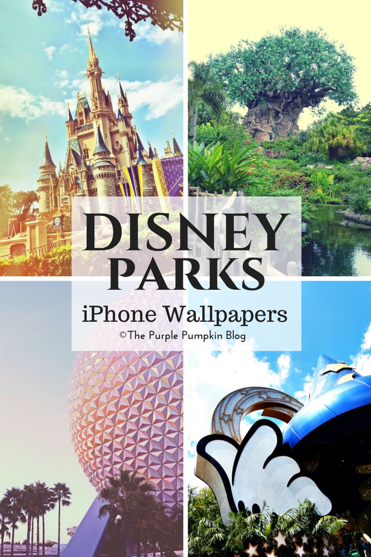 Disney Park Wallpapers