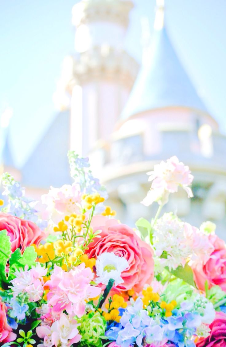 Disney Spring Wallpapers